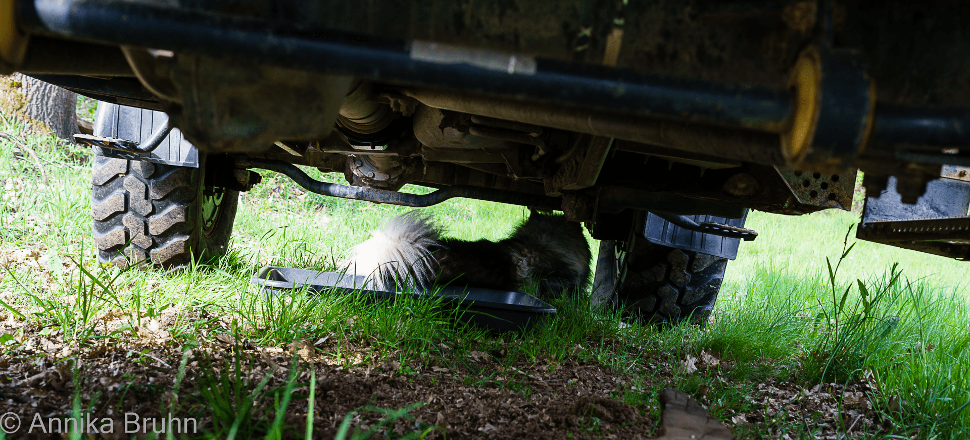 Q liegt unter dem Unimog